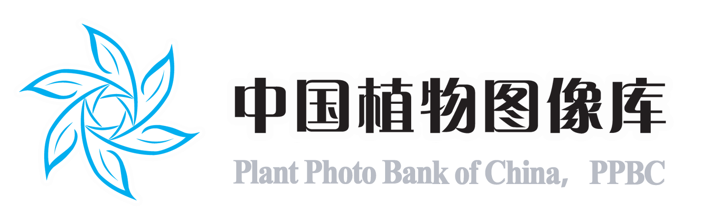 Plant Photo Bank of China