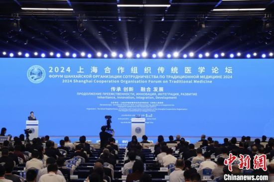2024上海合作组织传统医学论坛举行 约600位中外嘉宾参会