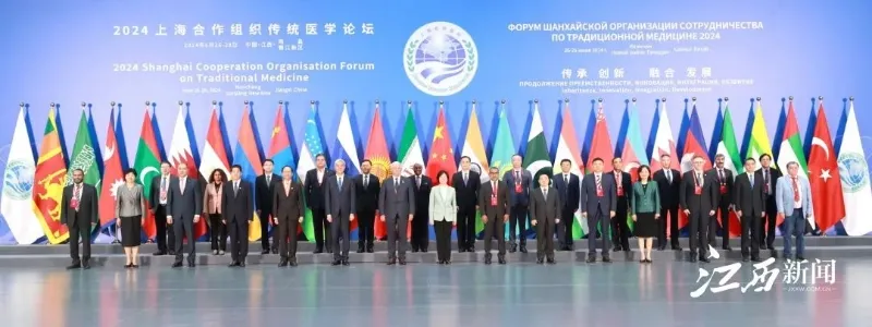 2024传统医学论坛开幕