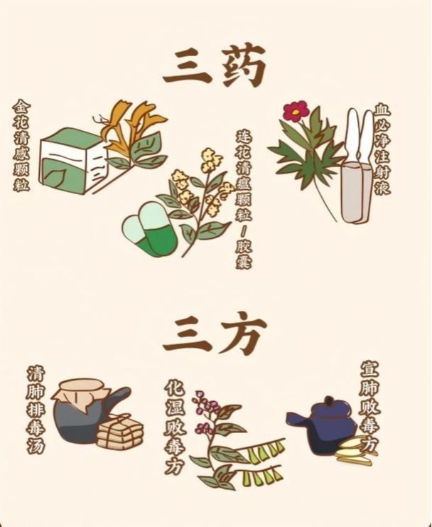 上合组织：传统医学在合作抗击新冠肺炎疫情中发挥独特作用