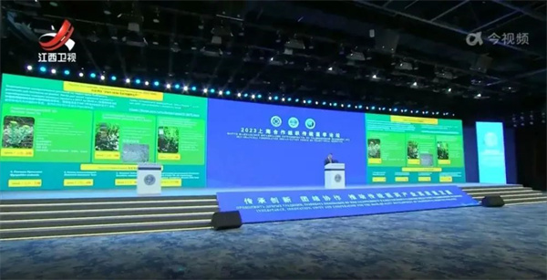 1701653022071017004.jpg 04.jpg