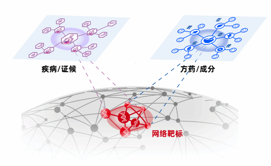 Network Pharmacology Built on TCM Thinking