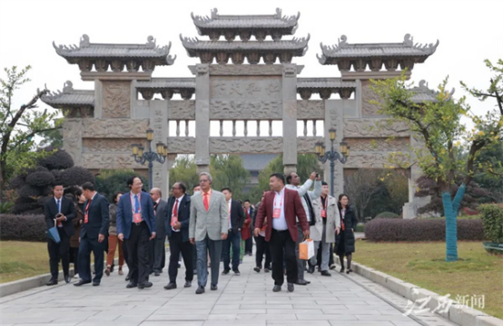 在樟树，外国嘉宾体验中医“诊疗”